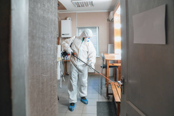 Best Mold Odor Removal Services  in Hampton Manor, NY