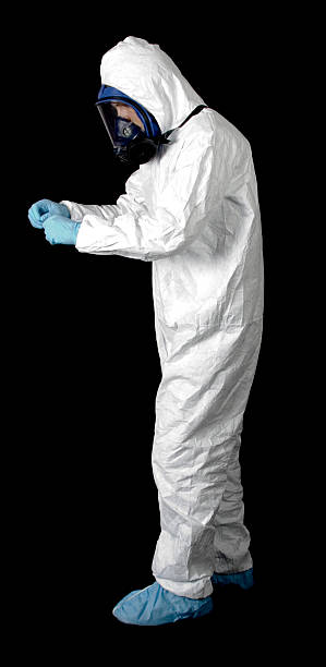 Best Airborne Mold Testing  in Hampton Manor, NY